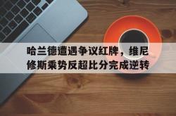 哈兰德遭遇争议红牌，维尼修斯乘势反超比分完成逆转的简单介绍