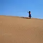 沙尔克主场马失前蹄，迅速调整战术